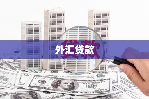 济源外汇贷款
