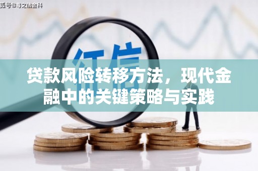 济源贷款风险转移方法，现代金融中的关键策略与实践