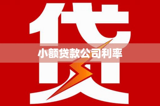 济源小额贷款公司利率