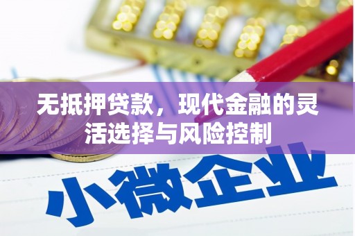 济源无抵押贷款，现代金融的灵活选择与风险控制