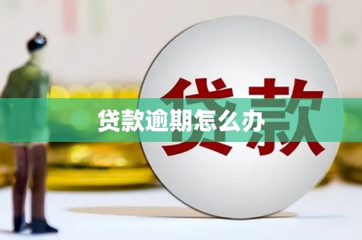 济源贷款逾期怎么办