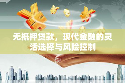 济源无抵押贷款，现代金融的灵活选择与风险控制