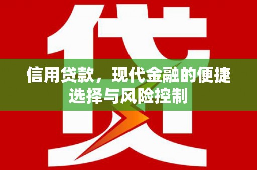 济源信用贷款，现代金融的便捷选择与风险控制
