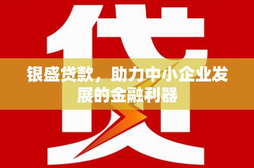 济源银盛贷款，助力中小企业发展的金融利器