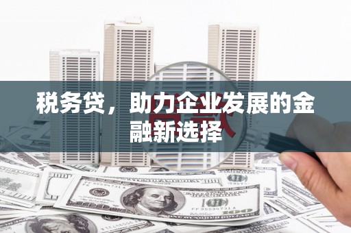 济源税务贷，助力企业发展的金融新选择