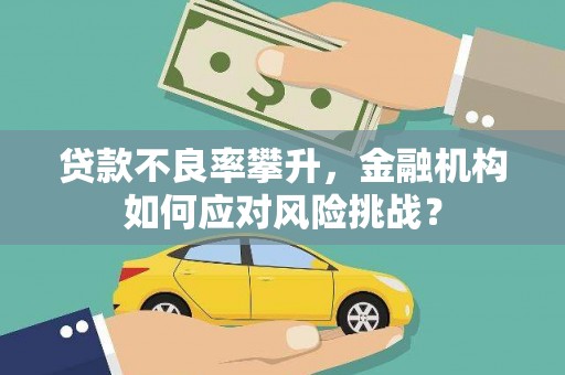 济源贷款不良率攀升，金融机构如何应对风险挑战？