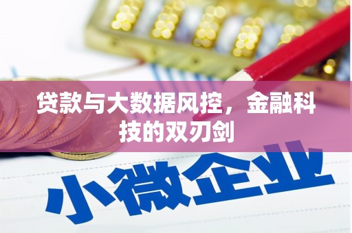 济源贷款与大数据风控，金融科技的双刃剑