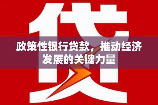 济源政策性银行贷款，推动经济发展的关键力量