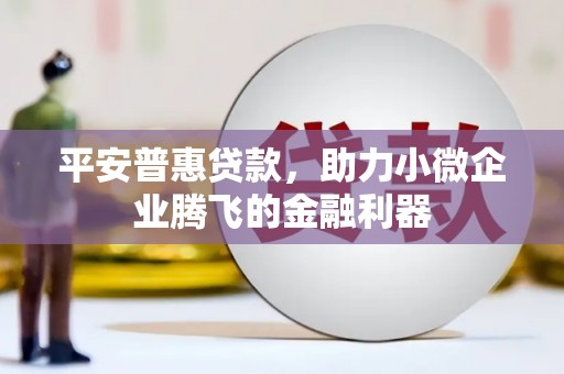 济源平安普惠贷款，助力小微企业腾飞的金融利器