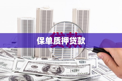 济源保单质押贷款