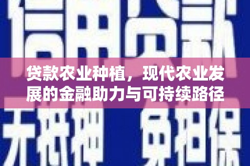 济源贷款农业种植，现代农业发展的金融助力与可持续路径