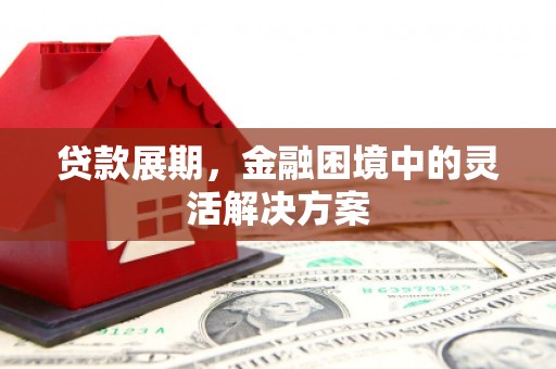 济源贷款展期，金融困境中的灵活解决方案