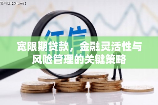 济源宽限期贷款，金融灵活性与风险管理的关键策略