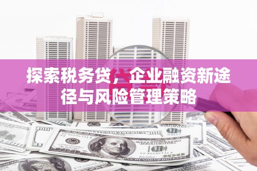 济源探索税务贷，企业融资新途径与风险管理策略