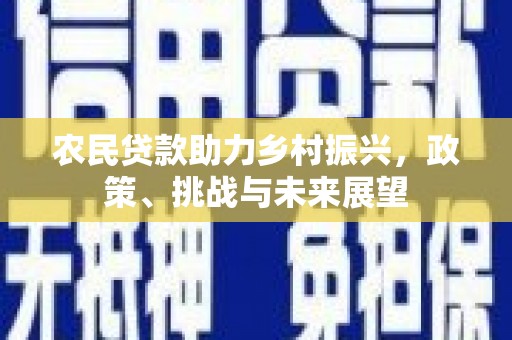 济源农民贷款助力乡村振兴，政策、挑战与未来展望