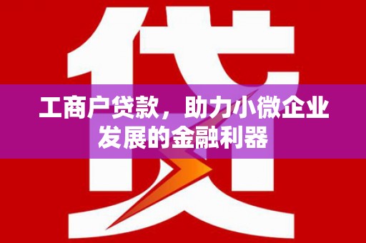 济源工商户贷款，助力小微企业发展的金融利器