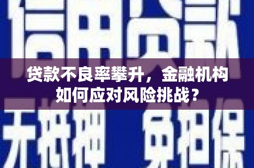 济源贷款不良率攀升，金融机构如何应对风险挑战？