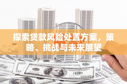 济源探索贷款风险处置方案，策略、挑战与未来展望