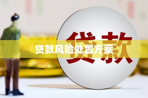 济源贷款风险处置方案