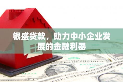 济源银盛贷款，助力中小企业发展的金融利器