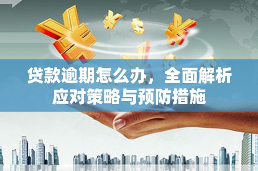 济源贷款逾期怎么办，全面解析应对策略与预防措施