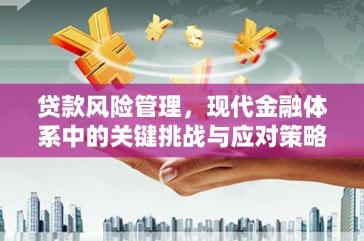 济源贷款风险管理，现代金融体系中的关键挑战与应对策略