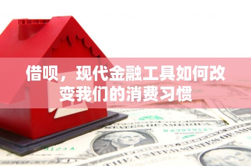 济源借呗，现代金融工具如何改变我们的消费习惯