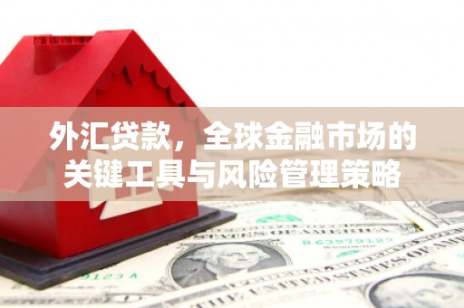 济源外汇贷款，全球金融市场的关键工具与风险管理策略