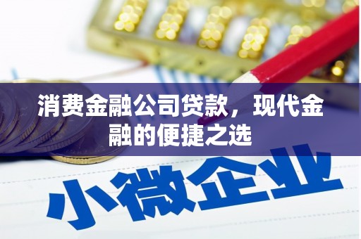 济源消费金融公司贷款，现代金融的便捷之选