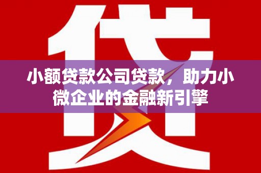 济源小额贷款公司贷款，助力小微企业的金融新引擎