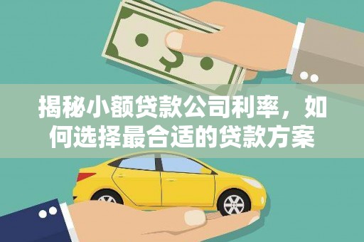 济源揭秘小额贷款公司利率，如何选择最合适的贷款方案