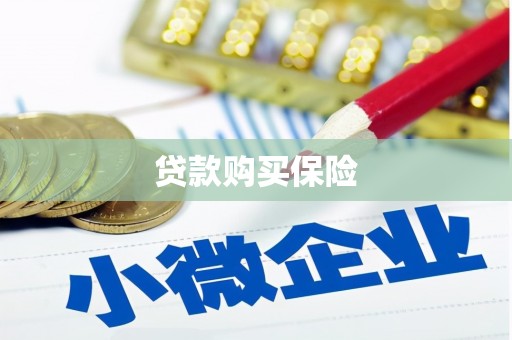 济源贷款购买保险