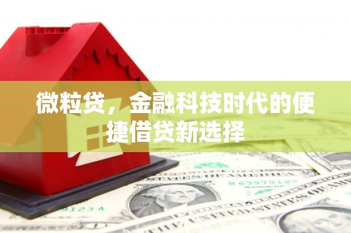 济源微粒贷，金融科技时代的便捷借贷新选择