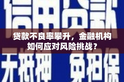 济源贷款不良率攀升，金融机构如何应对风险挑战？