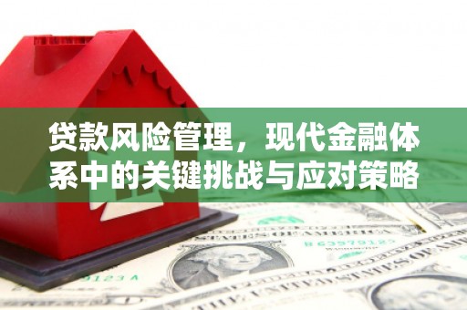 济源贷款风险管理，现代金融体系中的关键挑战与应对策略