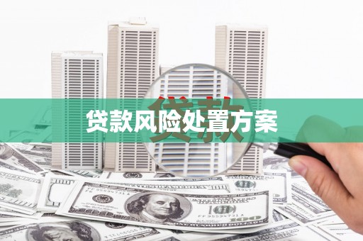 济源贷款风险处置方案